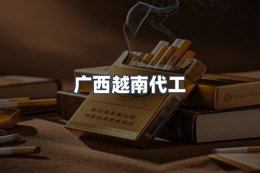 广西越南代工